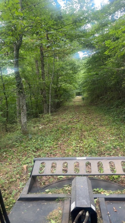 Picture 6