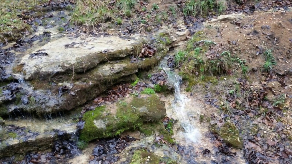 Picture 15