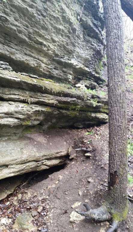 Picture 12