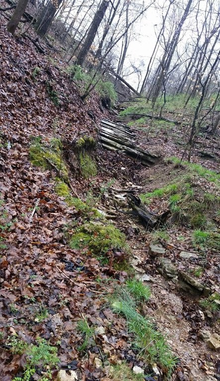 Picture 14