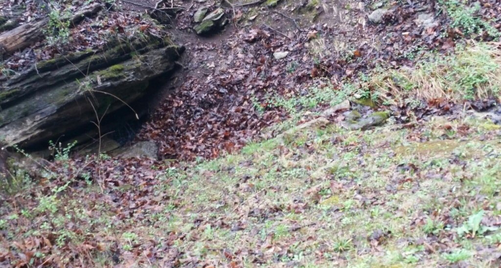 Picture 13