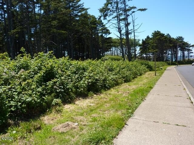 Picture 6