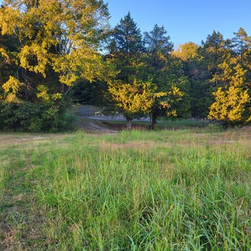 Land, Etowah, TN