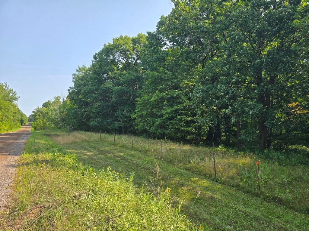 Picture 6