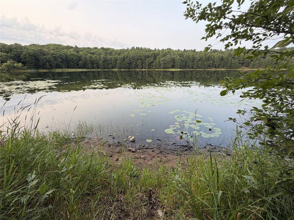 Picture 23