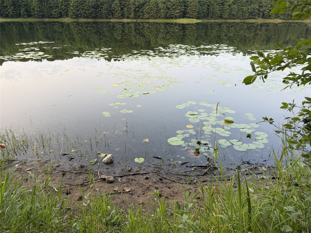 Picture 24