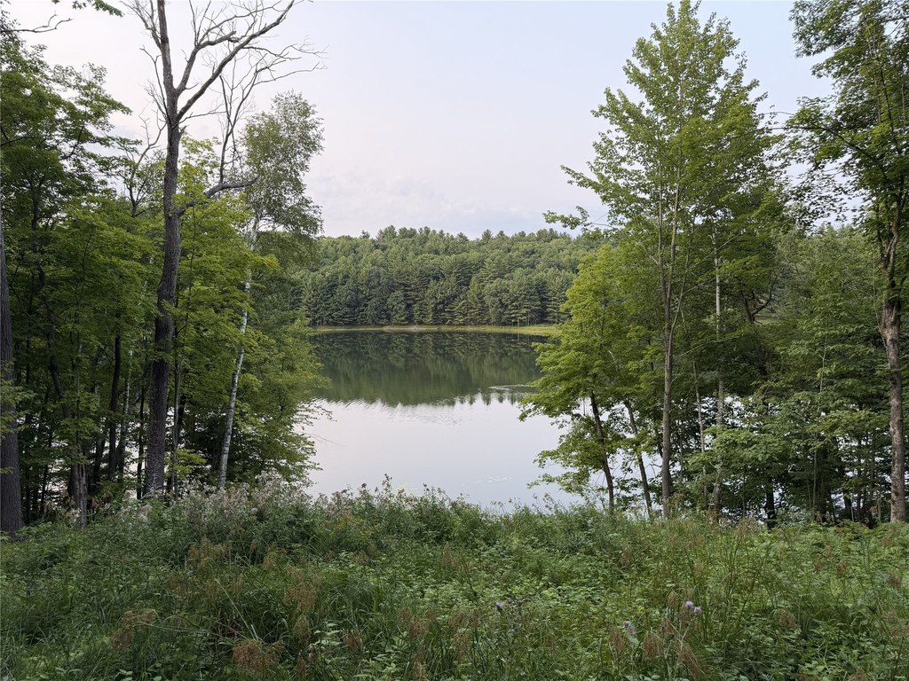 Picture 26