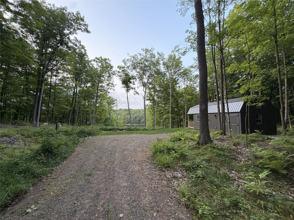 Picture 19