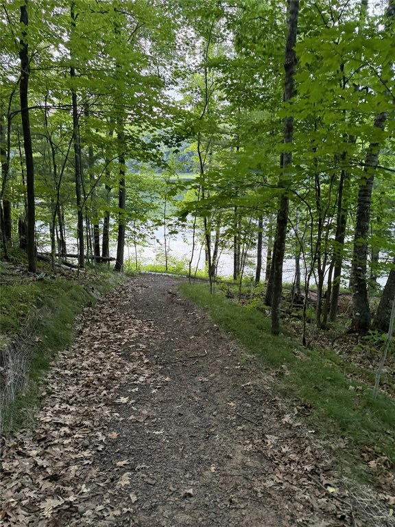 Picture 20