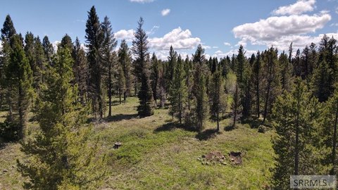 Island Park Treed 5-Acre Lot