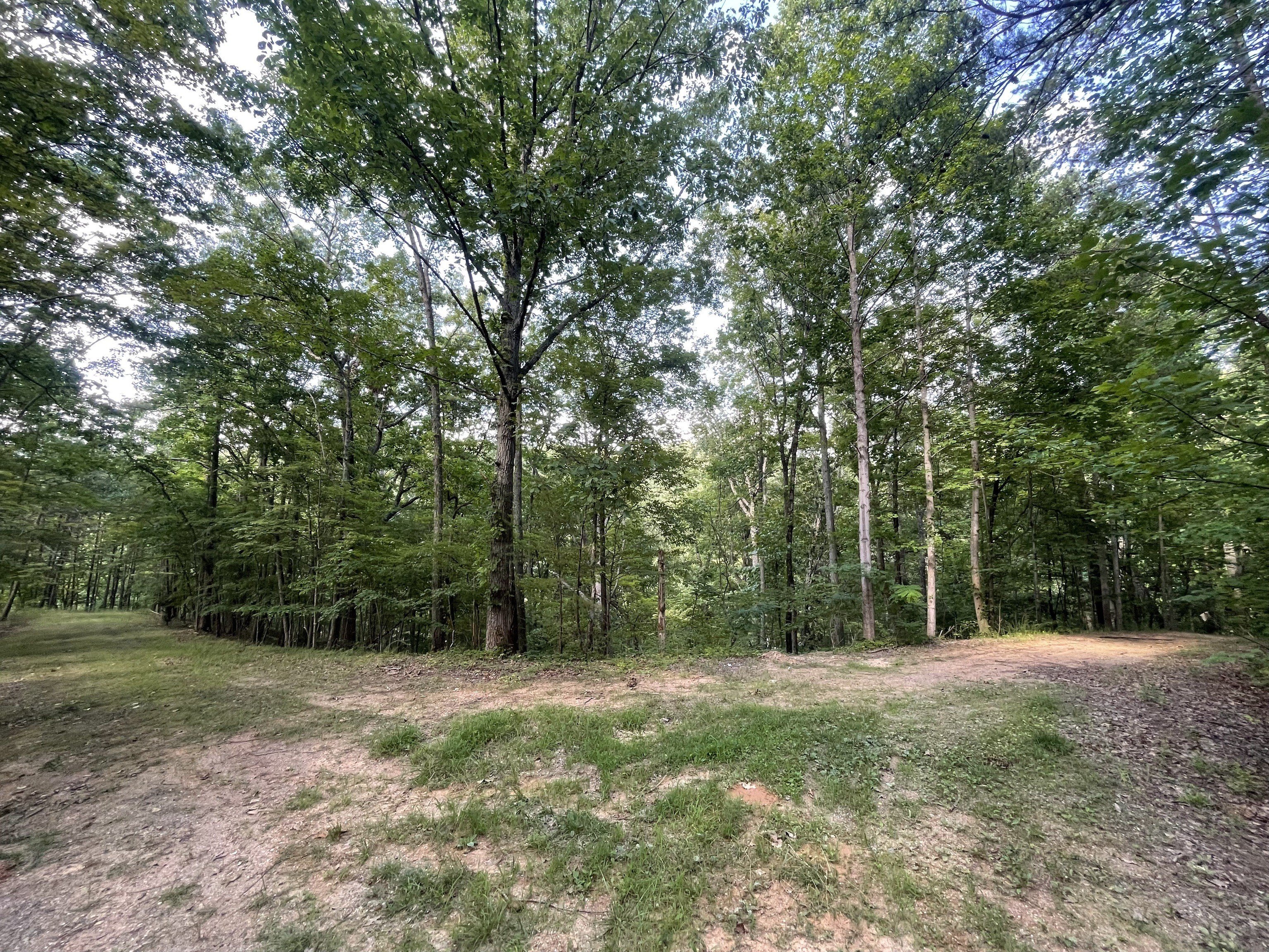 Ranger, GA Land For Sale