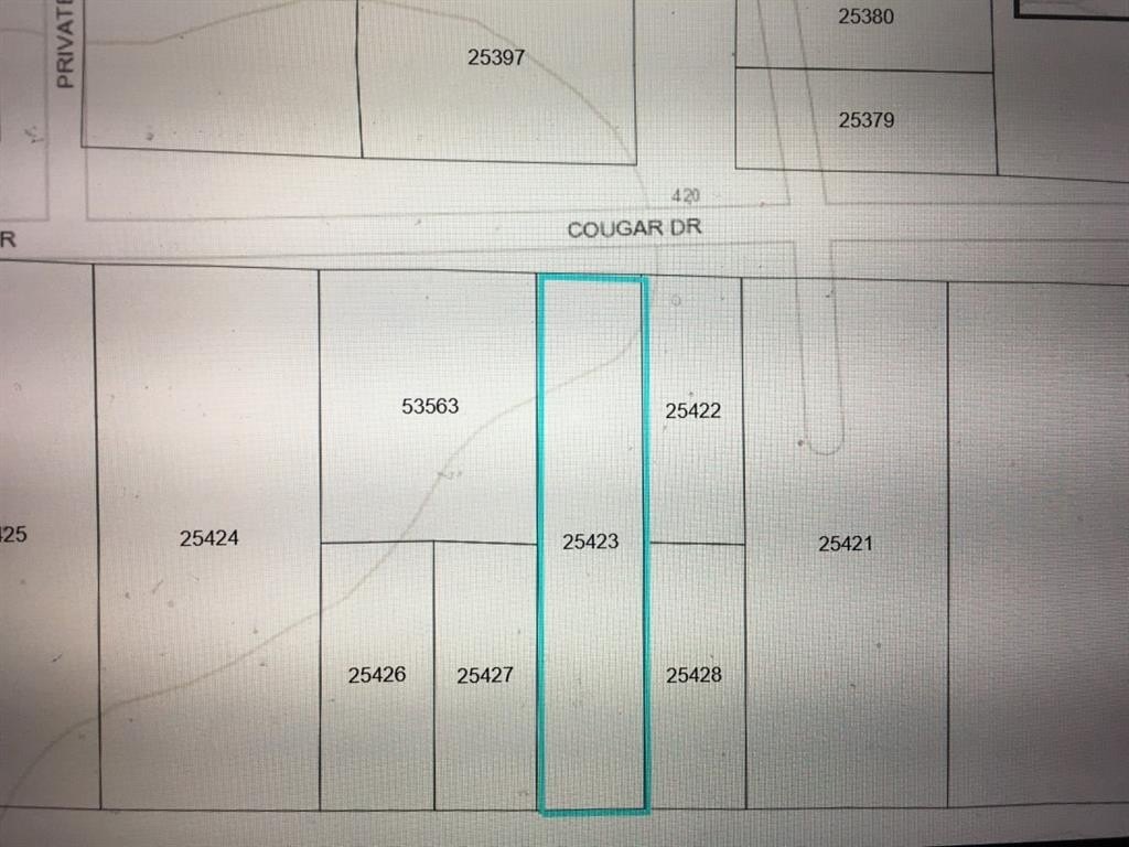 Residential Lots in Buna, Texas