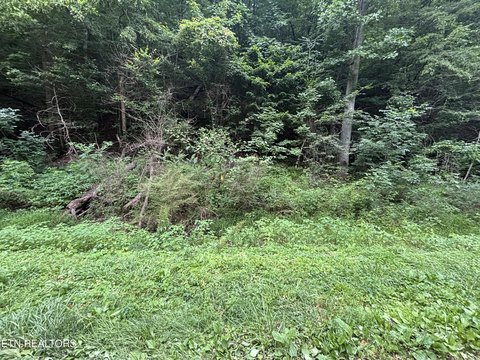 Unrestricted Land Near Harriman, TN