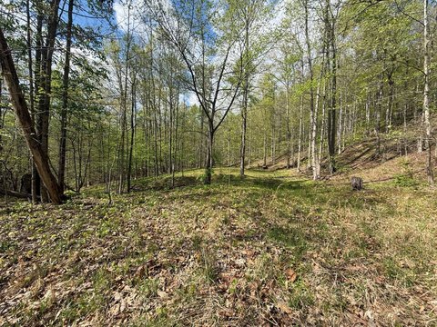 Wooded Hunting Land Tract