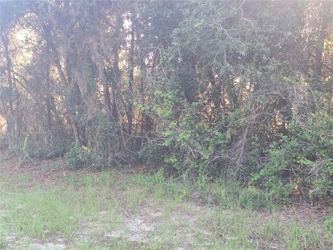 Lakefront Cul-de-Sac Residential Lot