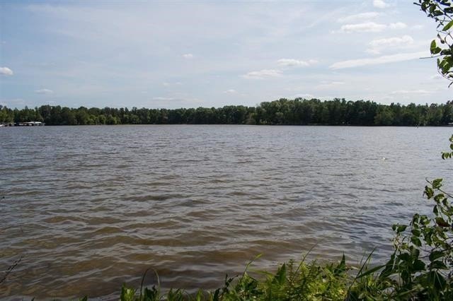 Picture 4