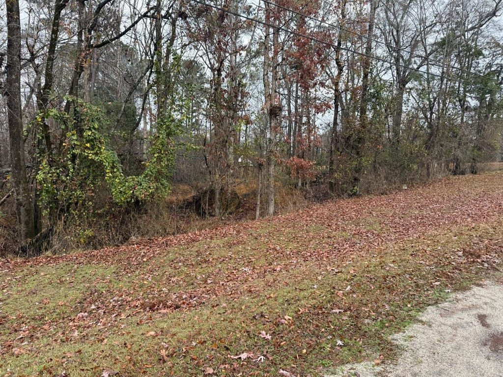 Picture 3