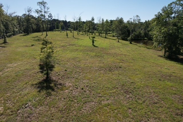 Picture 3