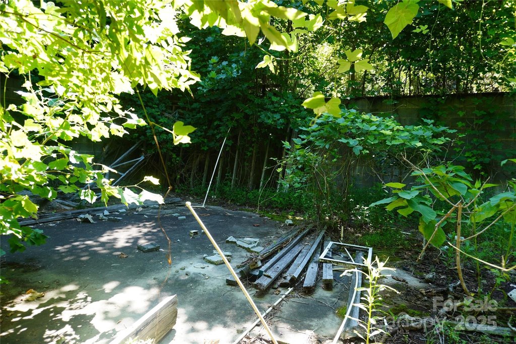 Picture 6
