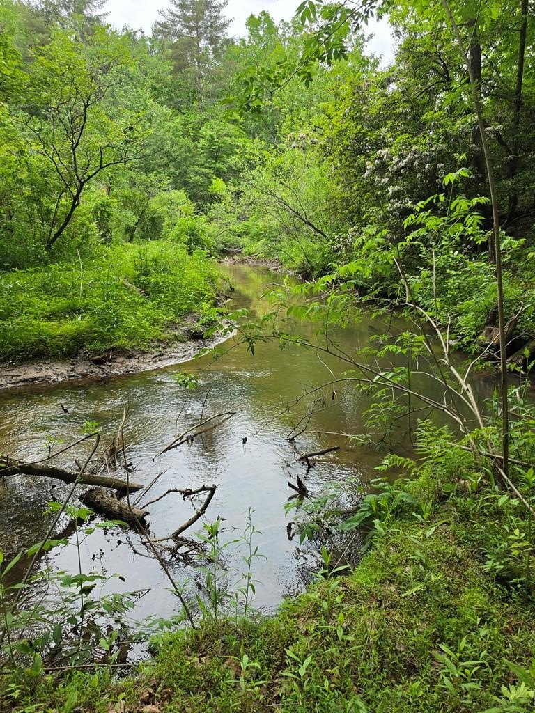 Creekfront Land in Ellijay, GA