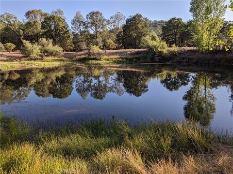Lower Lake 20-Acre Land Parcel