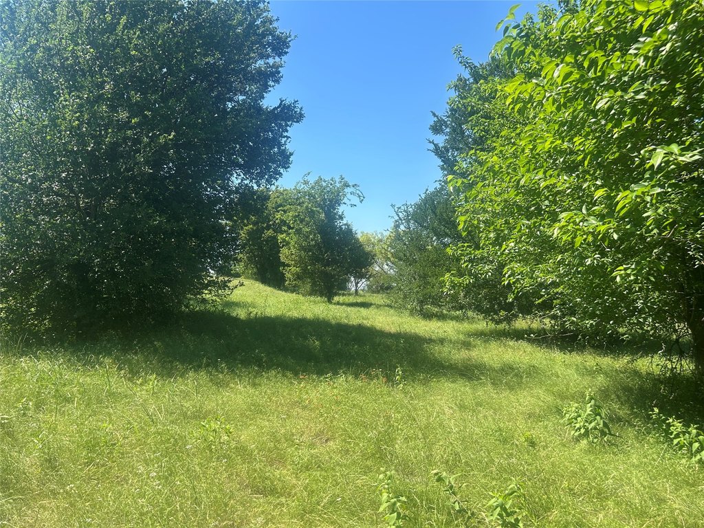 Picture 25