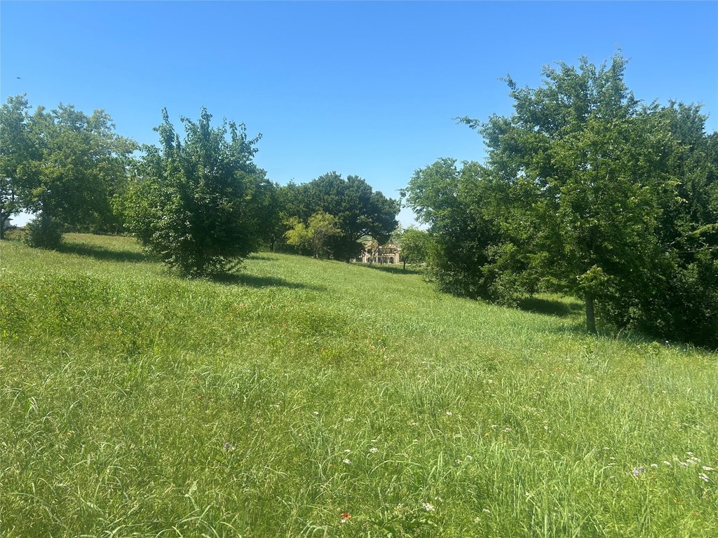 Picture 20