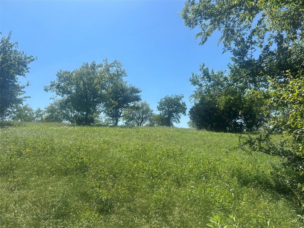 Picture 22