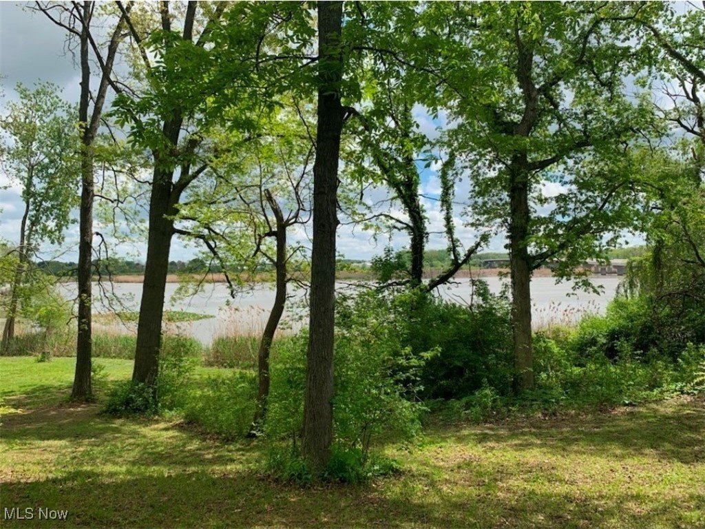 Huron River Duck Hunting Land