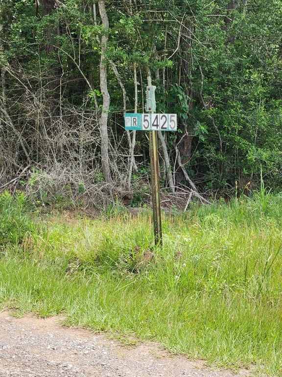 Picture 21