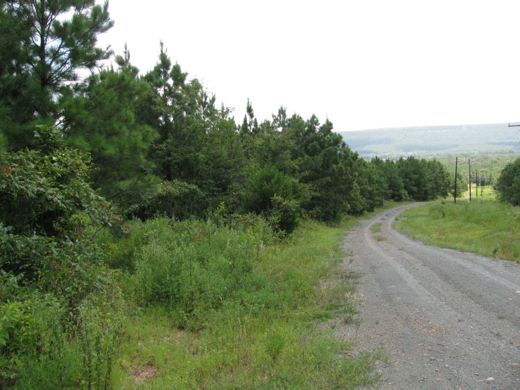 Picture 3
