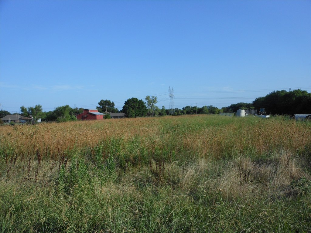Picture 14