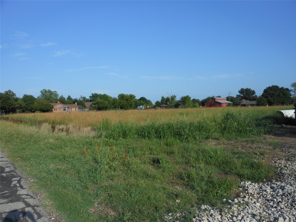 Picture 17