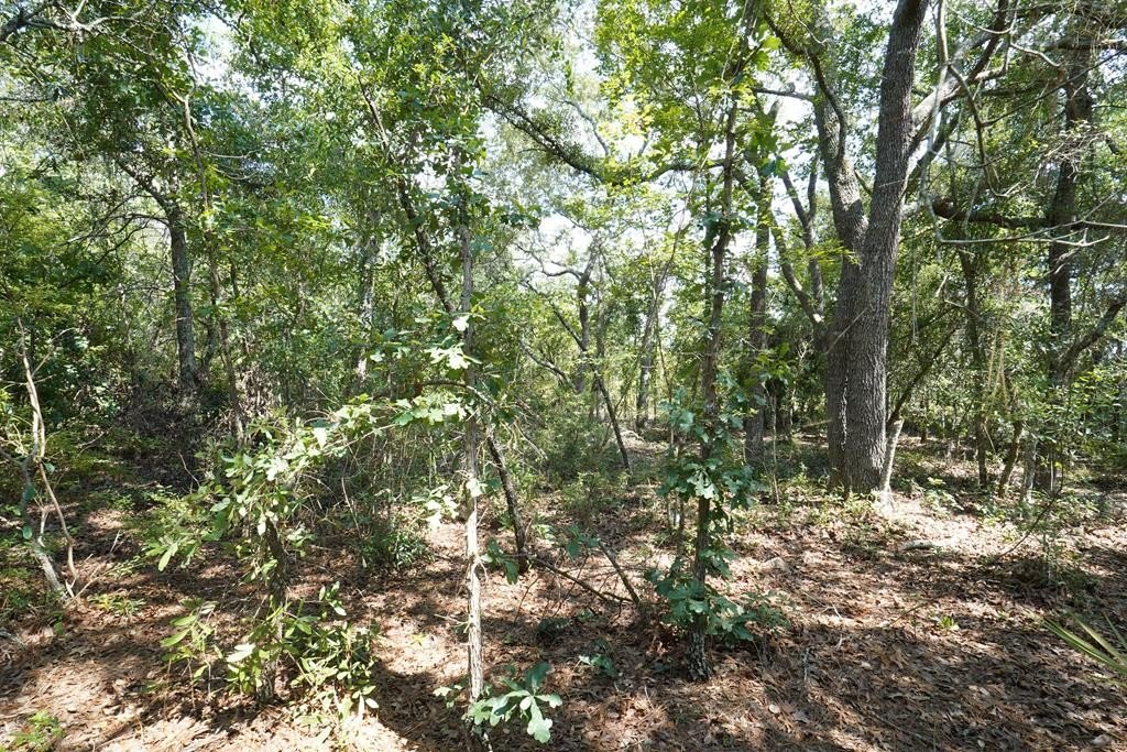 Picture 14
