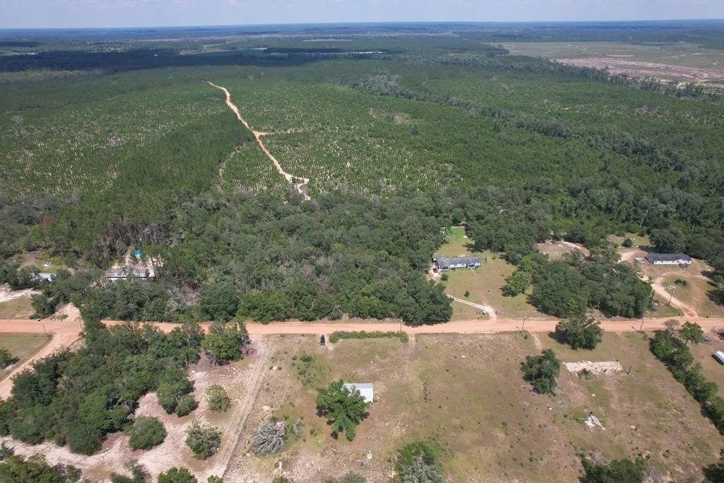 Picture 7