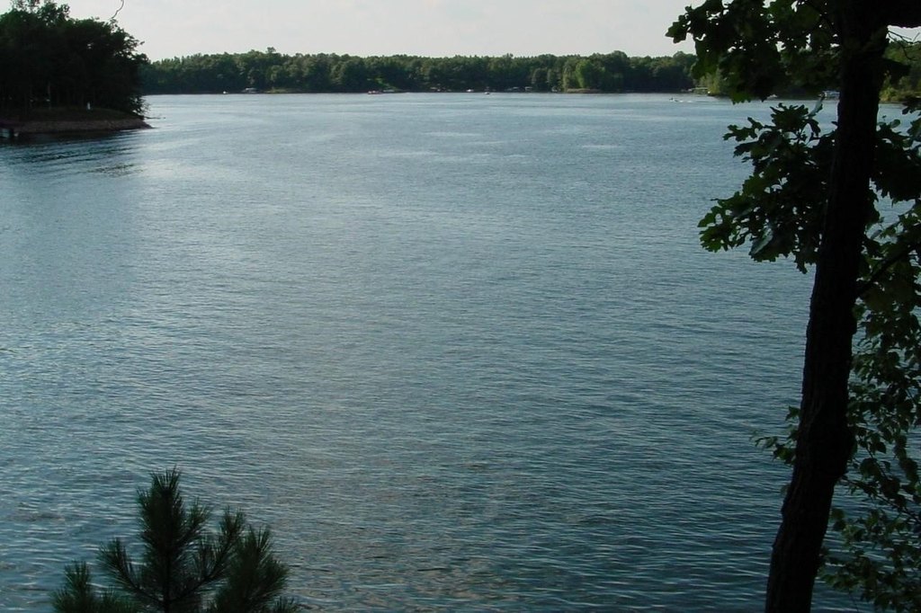 Picture 4