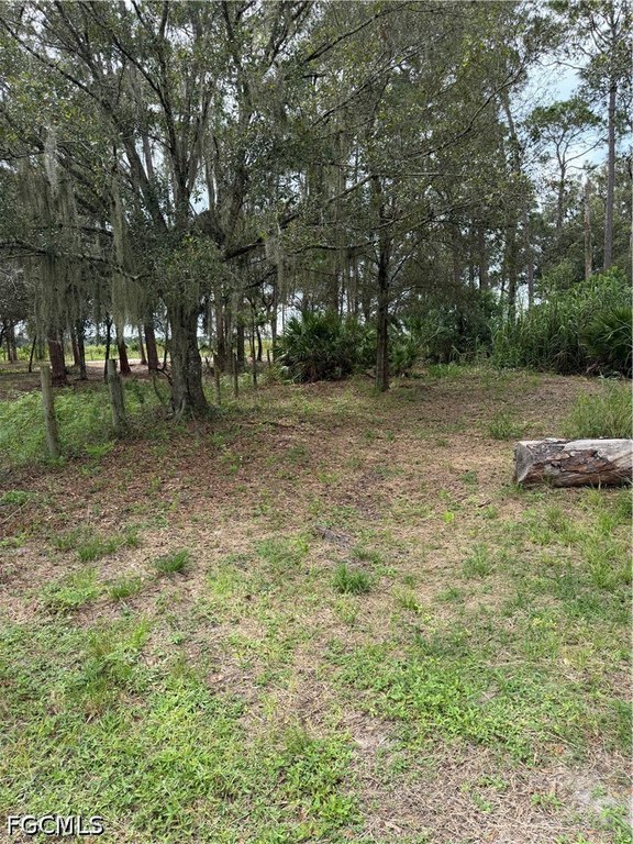 Picture 2
