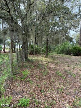 Land, Clewiston, FL