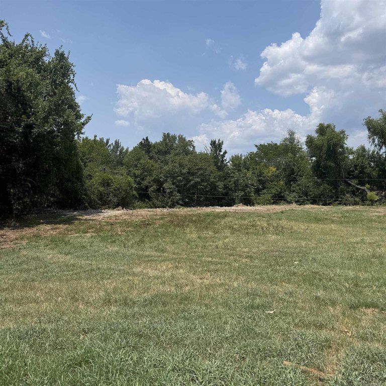 Picture 9