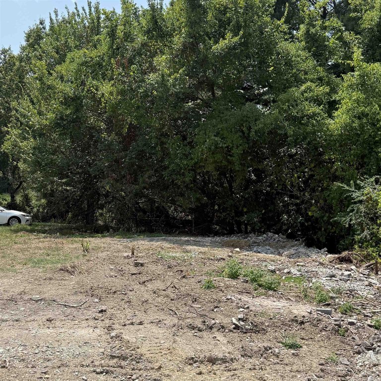 Picture 26