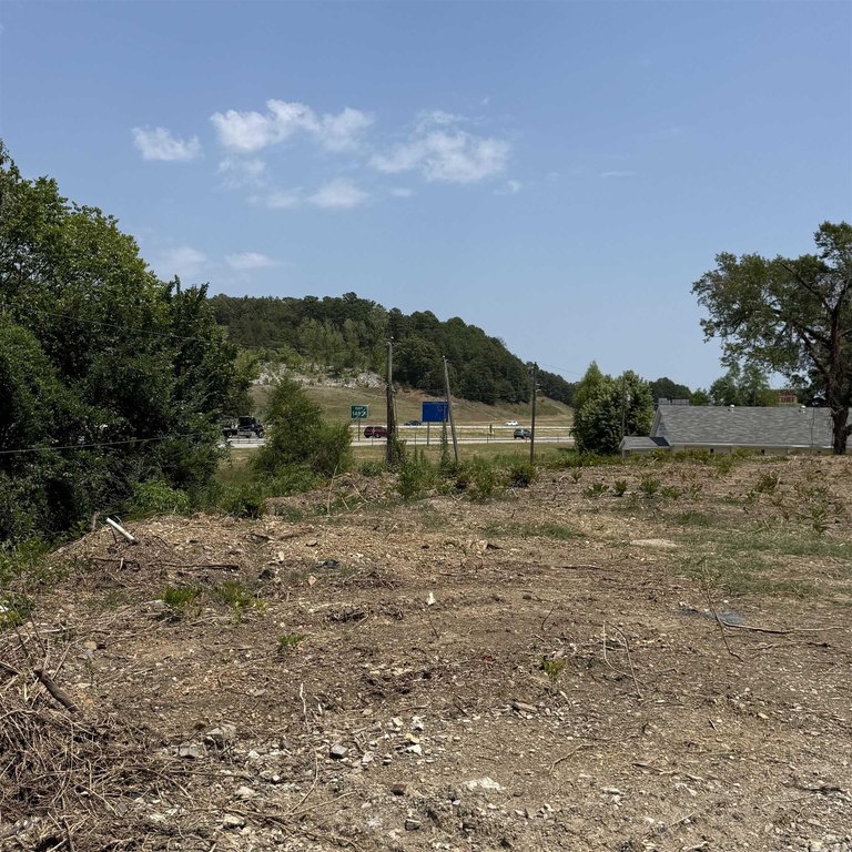 Picture 17