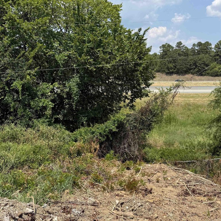 Picture 29