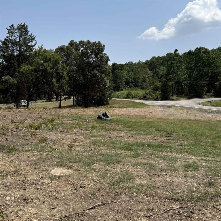 Picture 24
