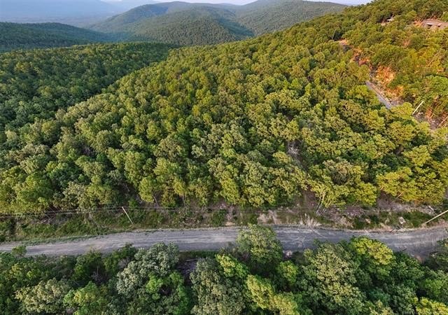 Ouachita Mountain Land Opportunity