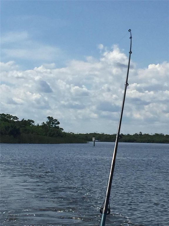 Picture 17