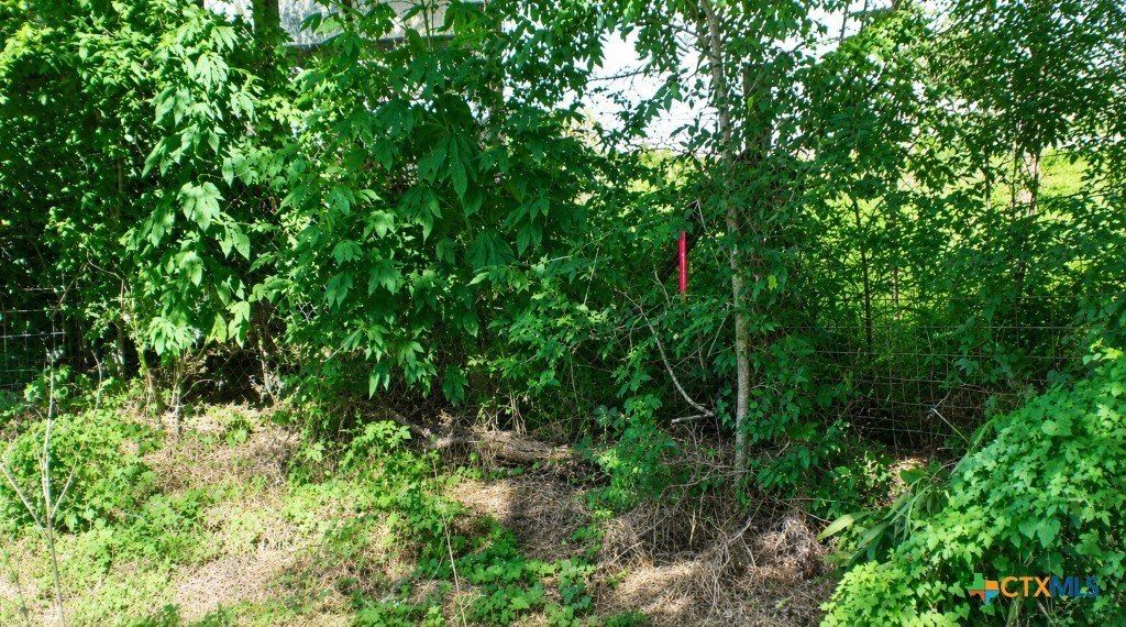Picture 7