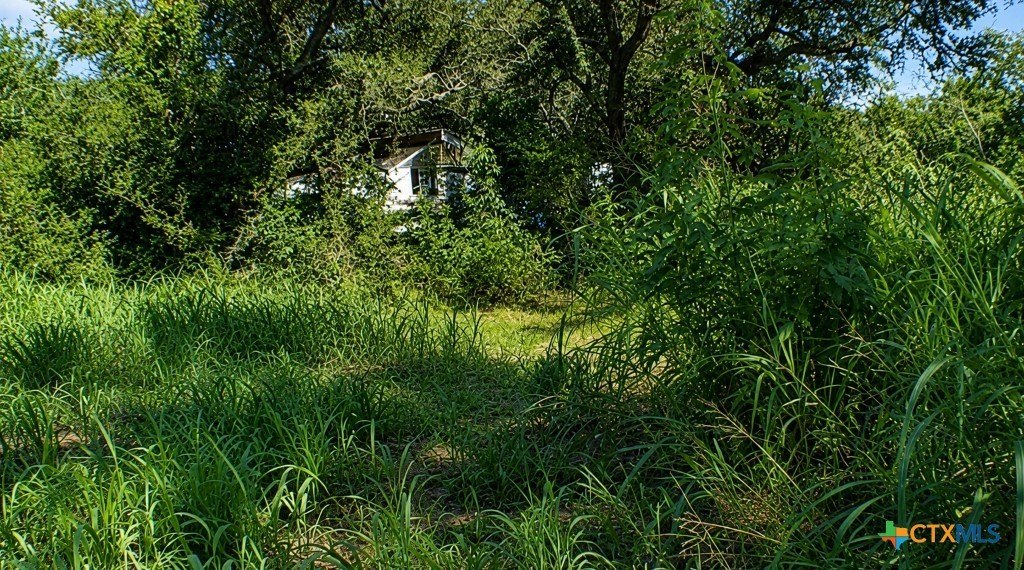Picture 6