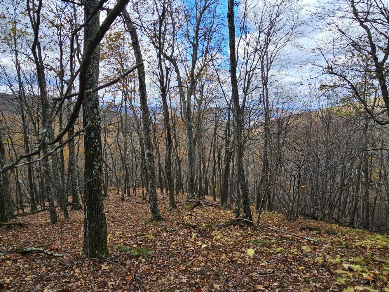 Land with Mountain Views