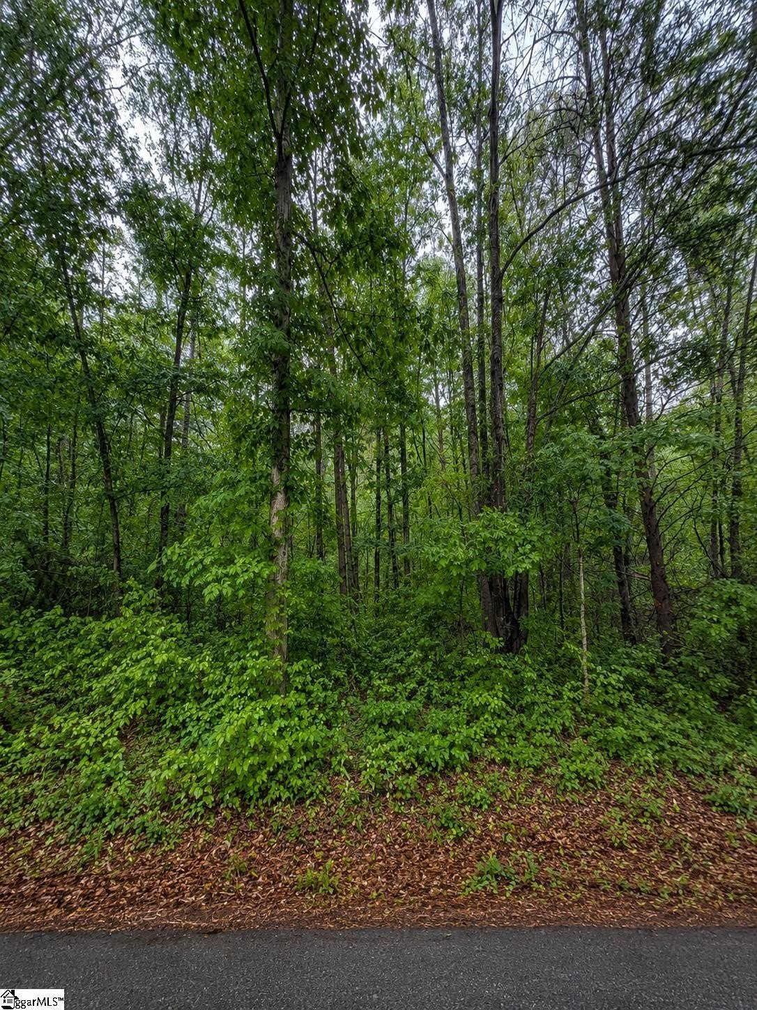 Residential Land in Travelers Rest