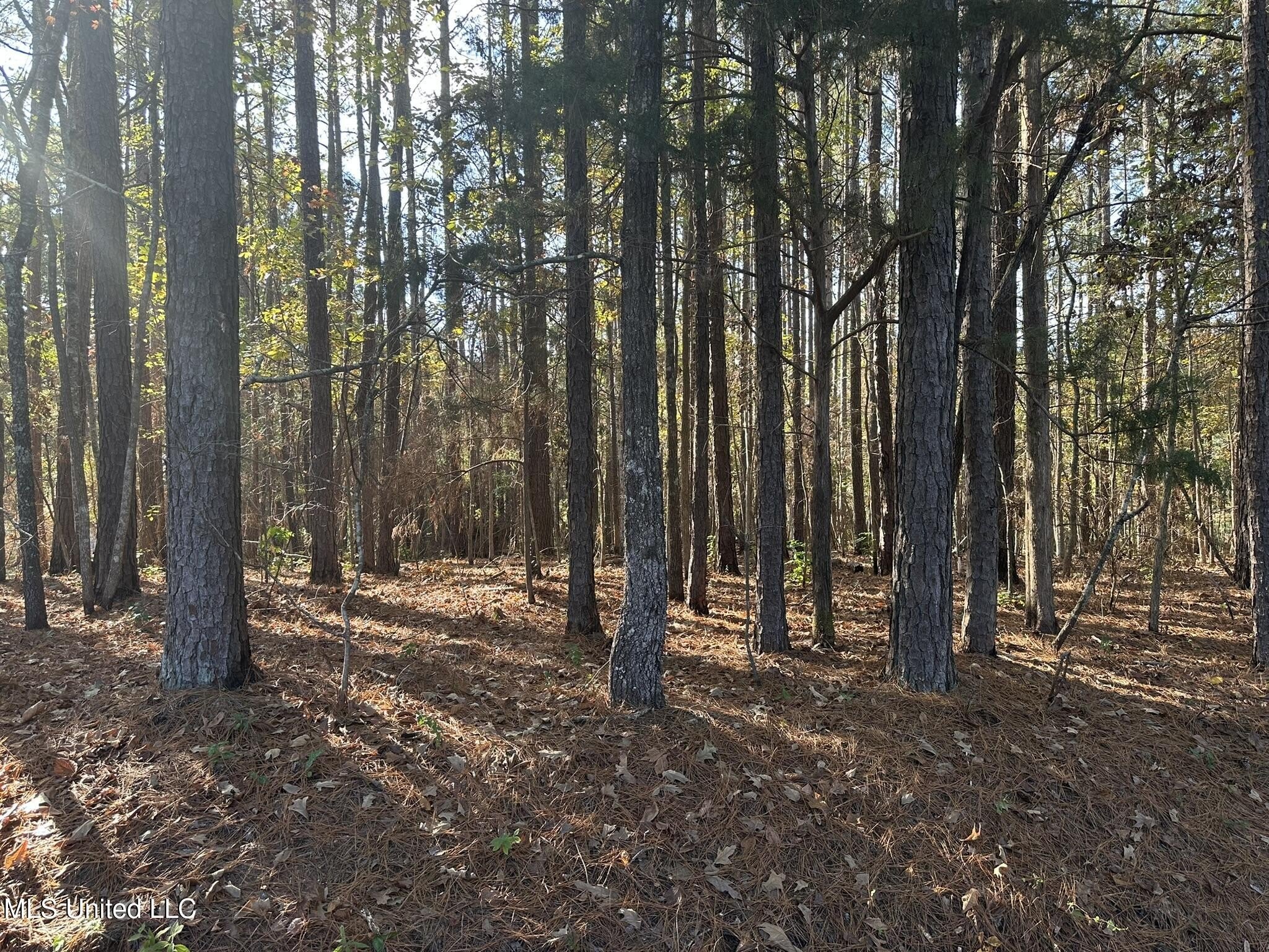 Land with Lake View